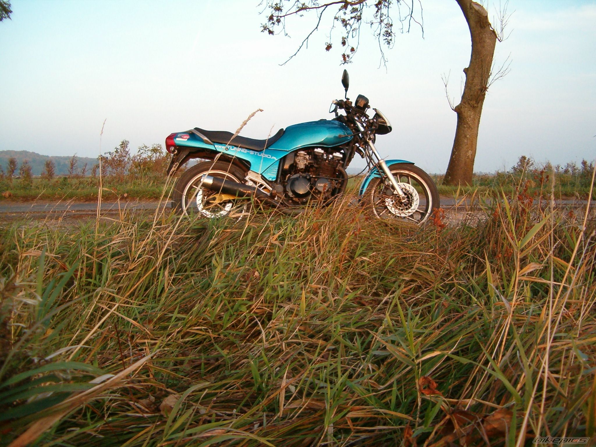 Bike Photo 1446940