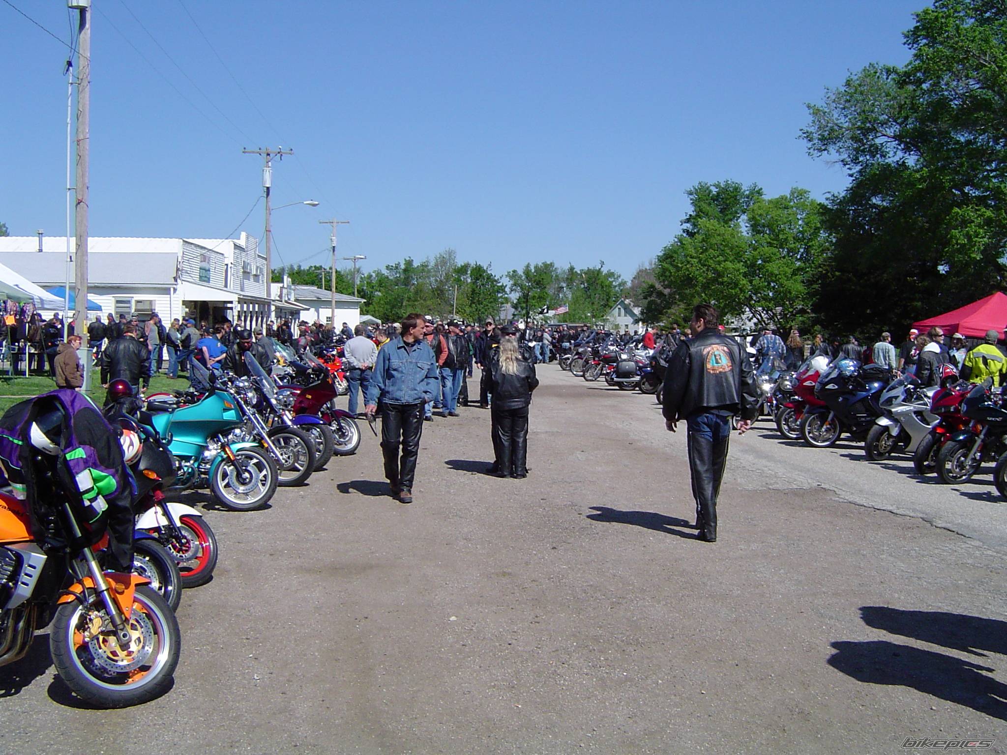 Photo 144695