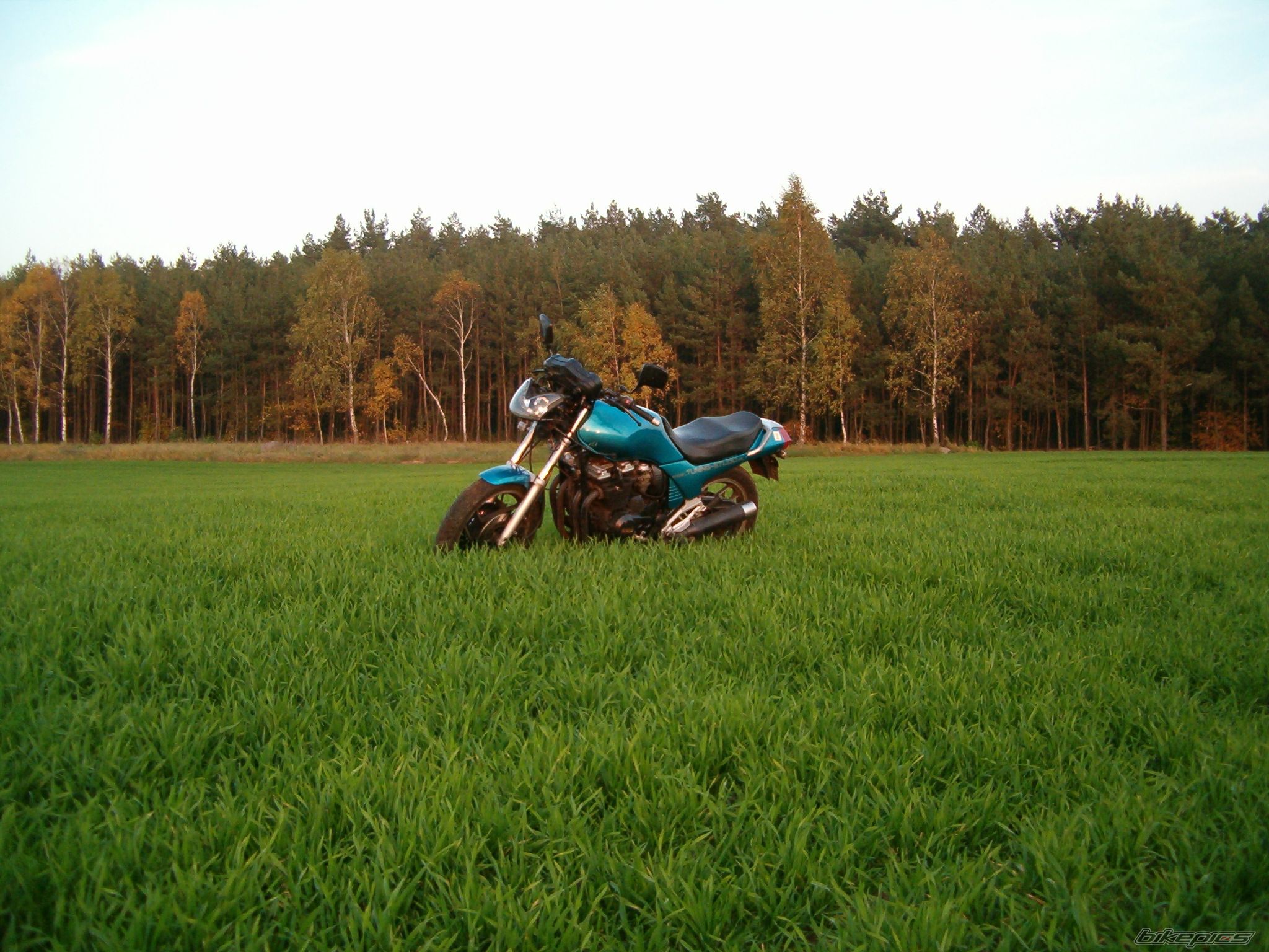 Bike Photo 1446953