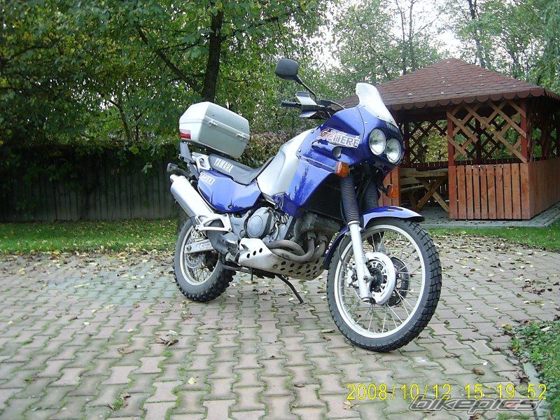 Photo 1446955