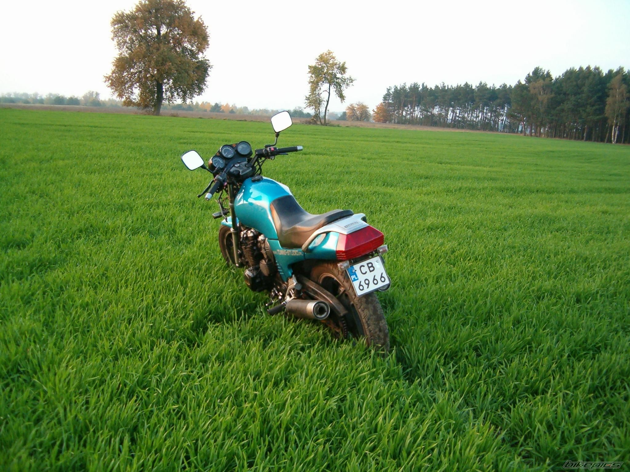 Bike Photo 1446958