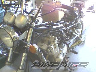 Photo 1447003