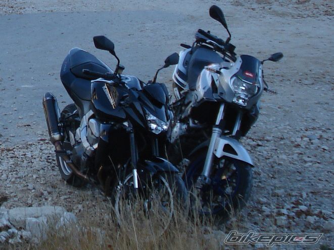 Photo 1447021