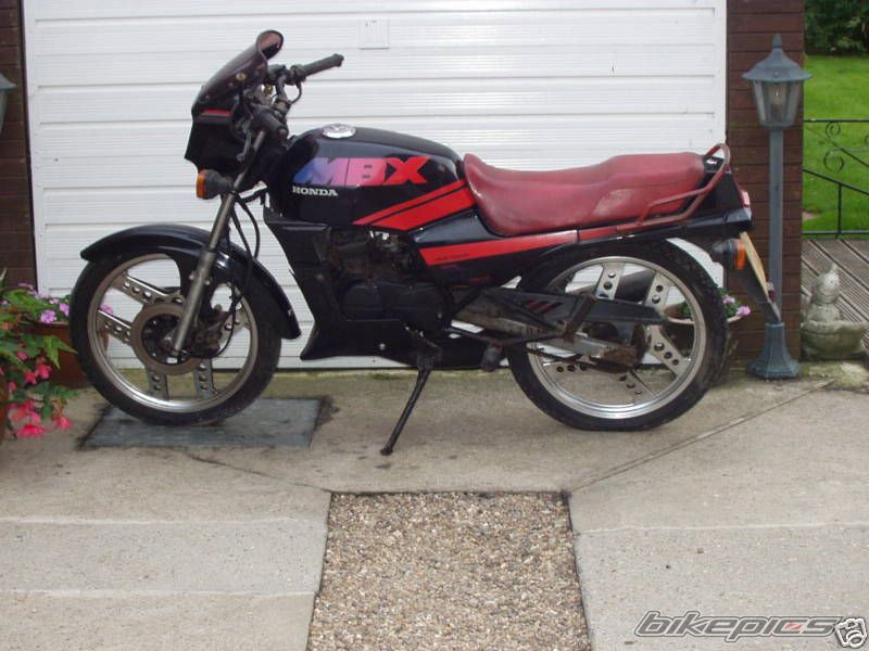 Photo 1447079