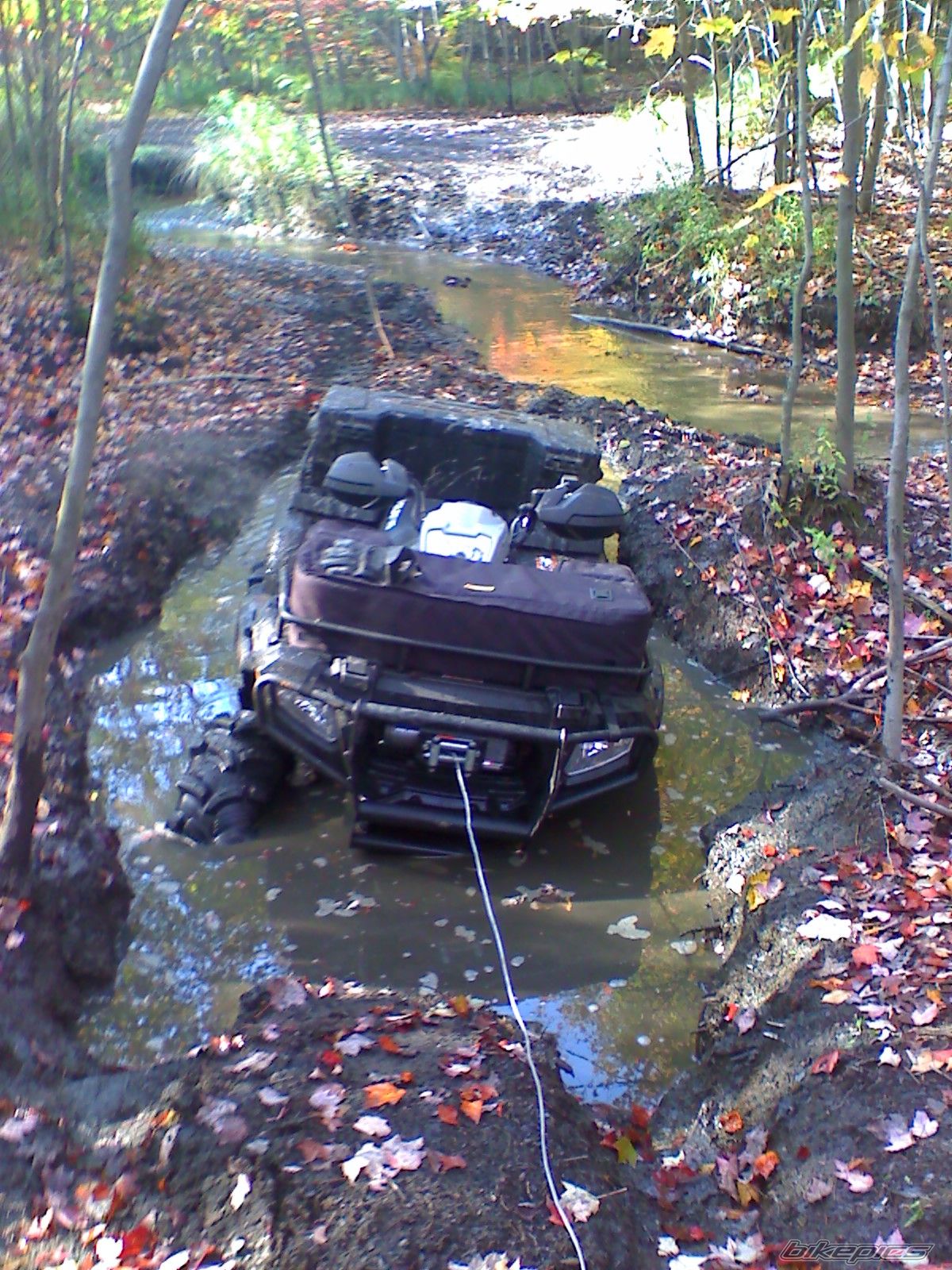 Photo 1447093