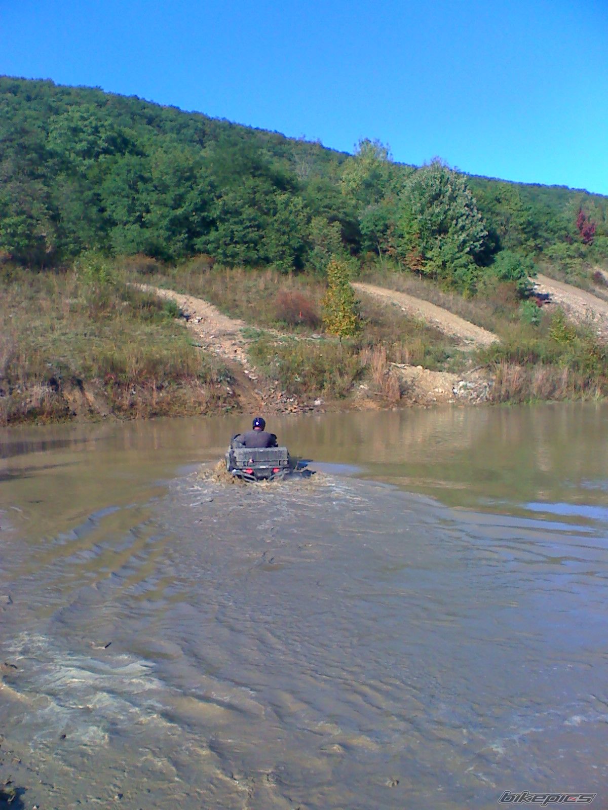 Photo 1447097