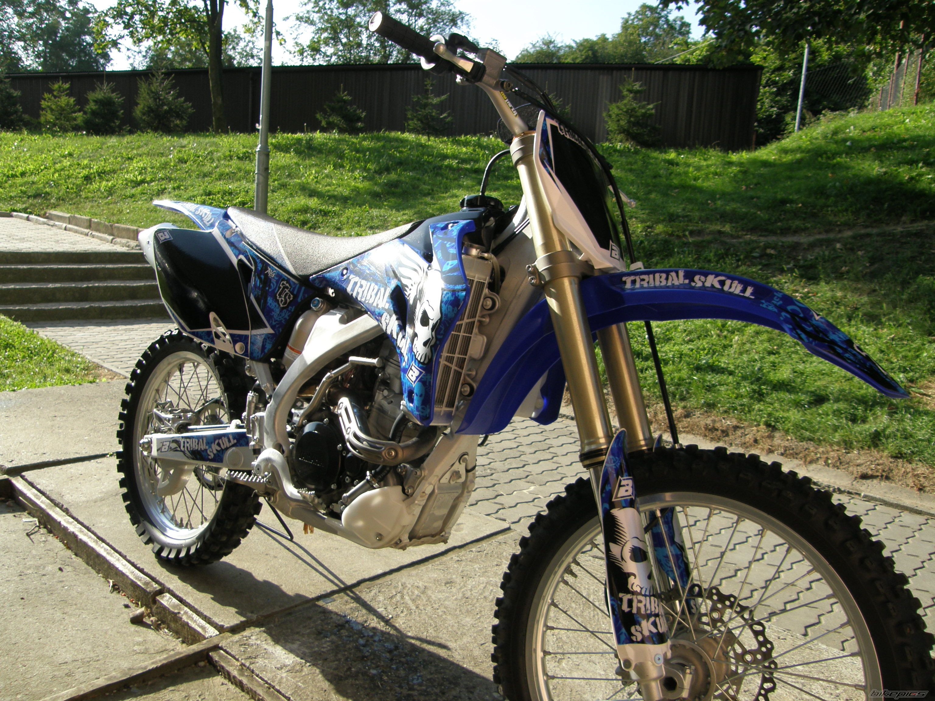 Photo 1447103