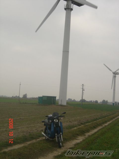Photo 1447104