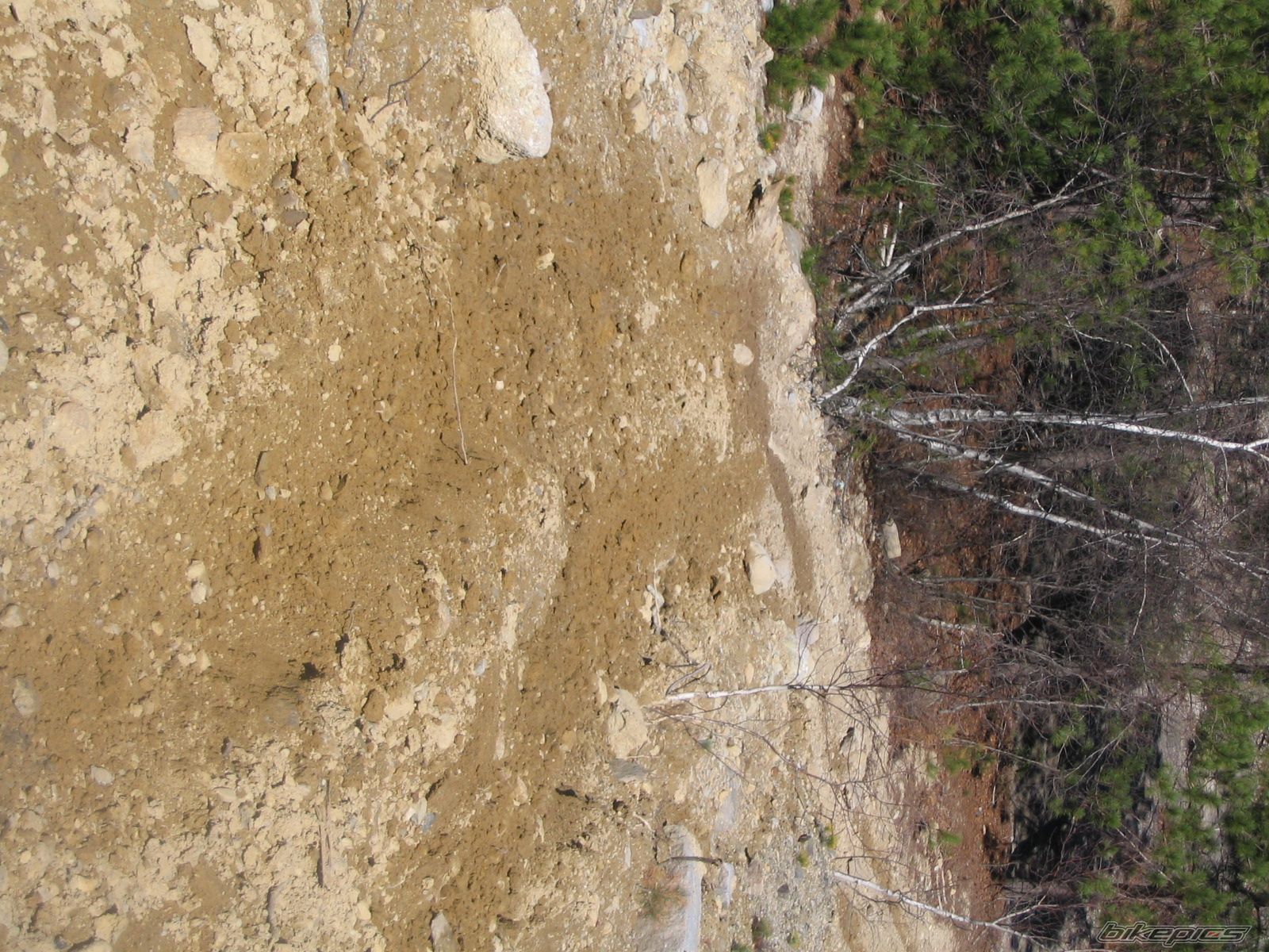 Photo 1447108