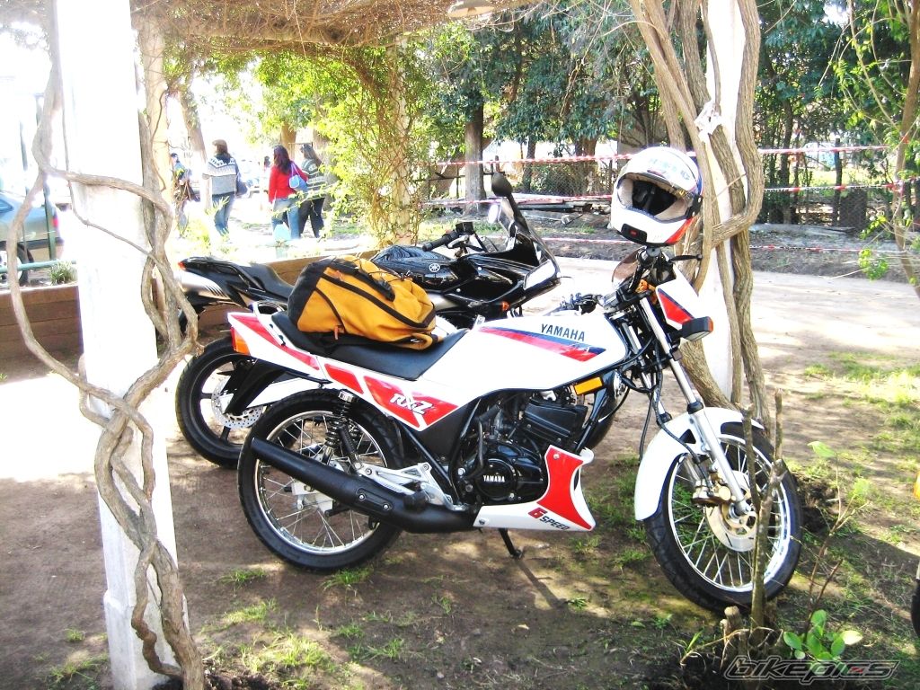 Photo 1447115