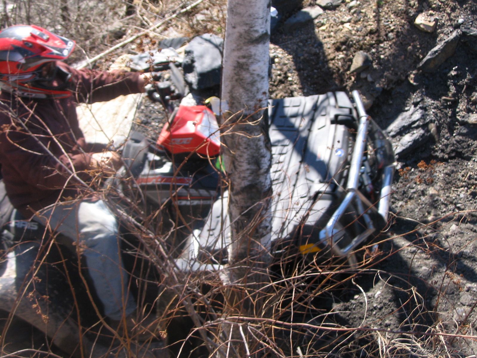 Photo 1447116