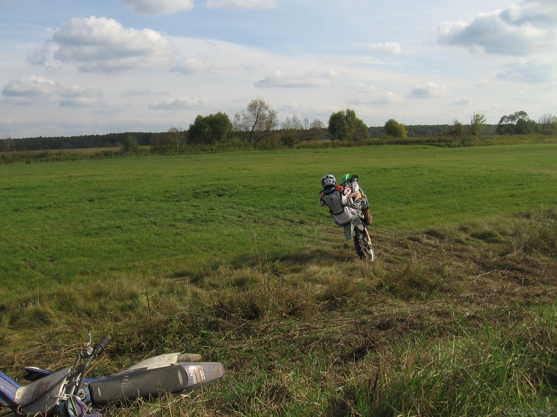 Photo 1447131
