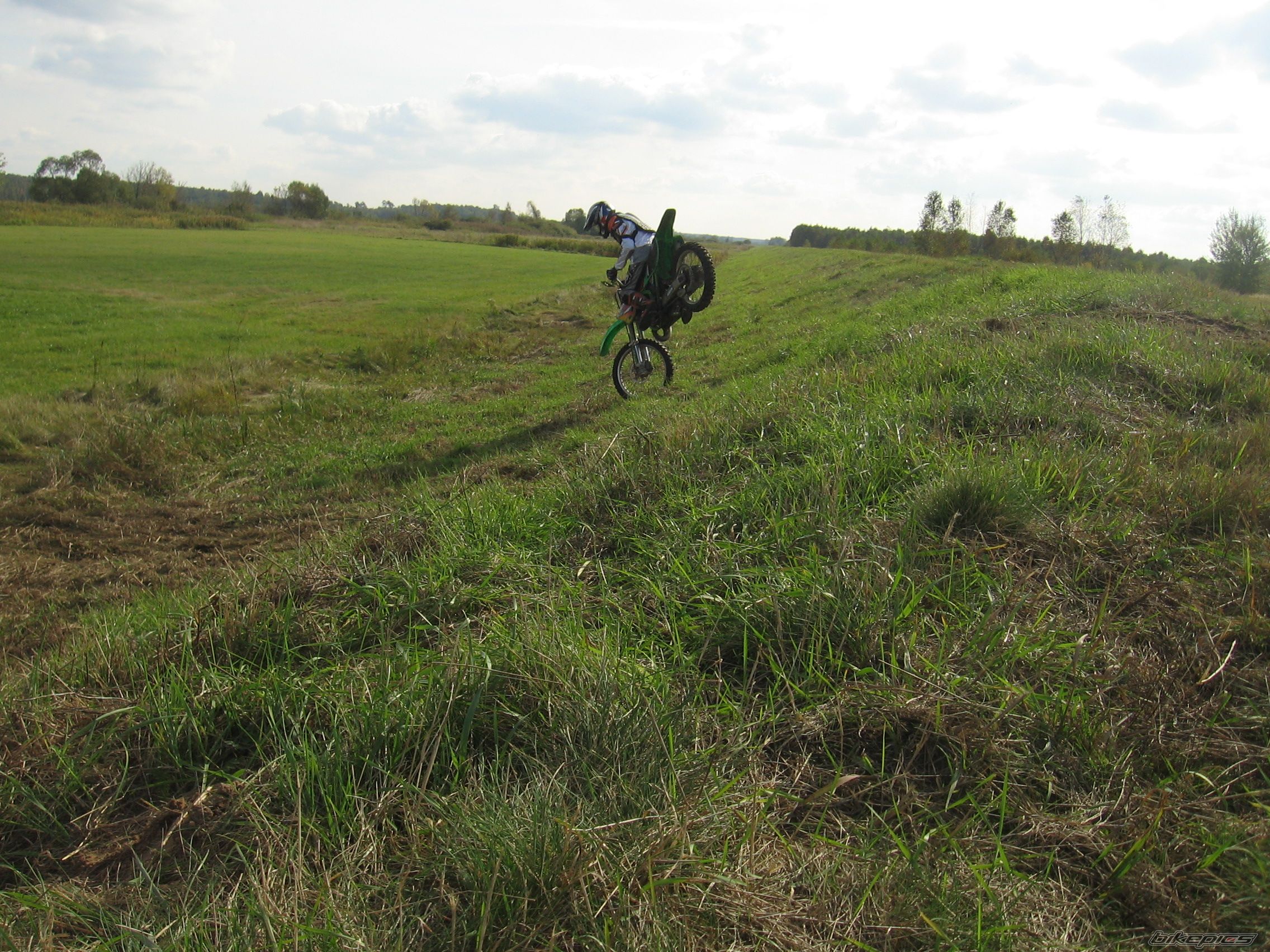 Photo 1447145