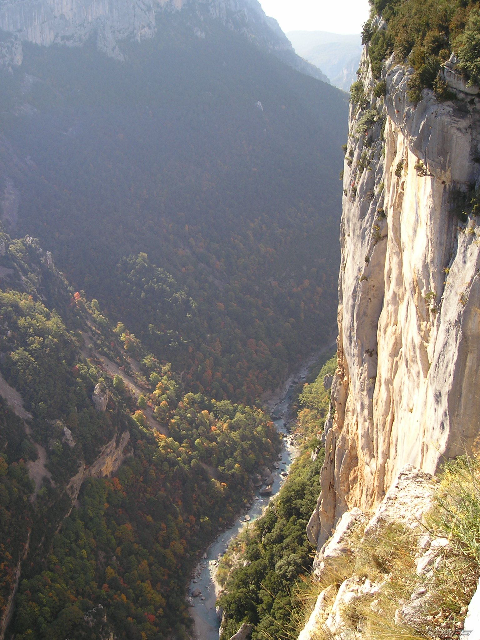 Photo 1447154