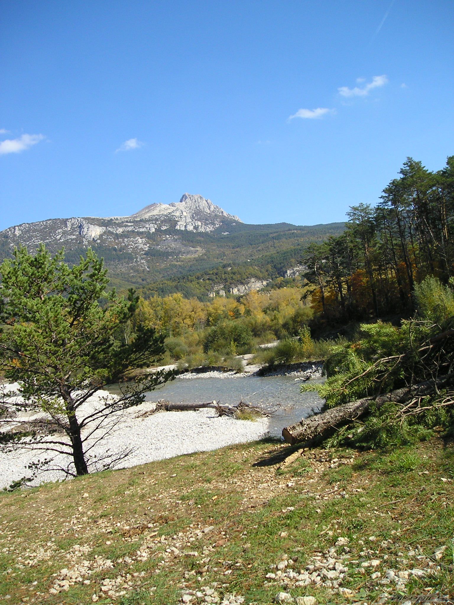 Photo 1447161