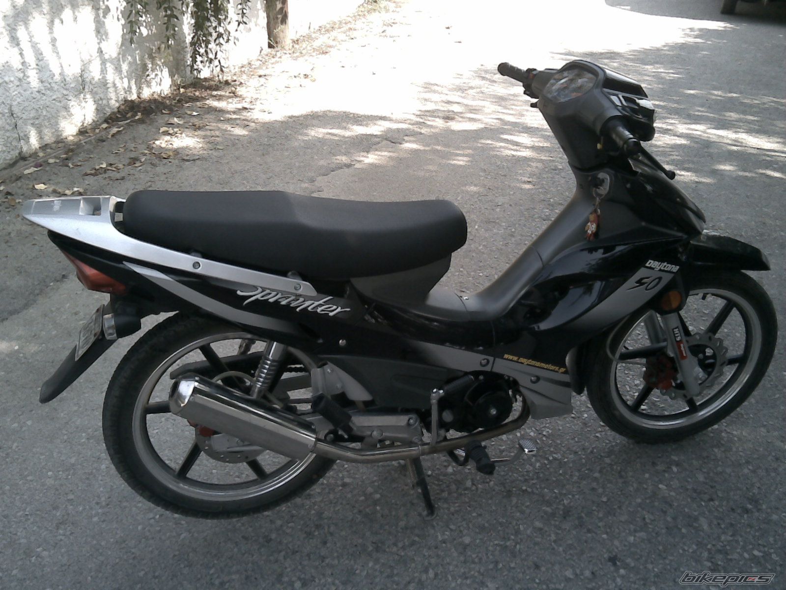 Photo 1447169