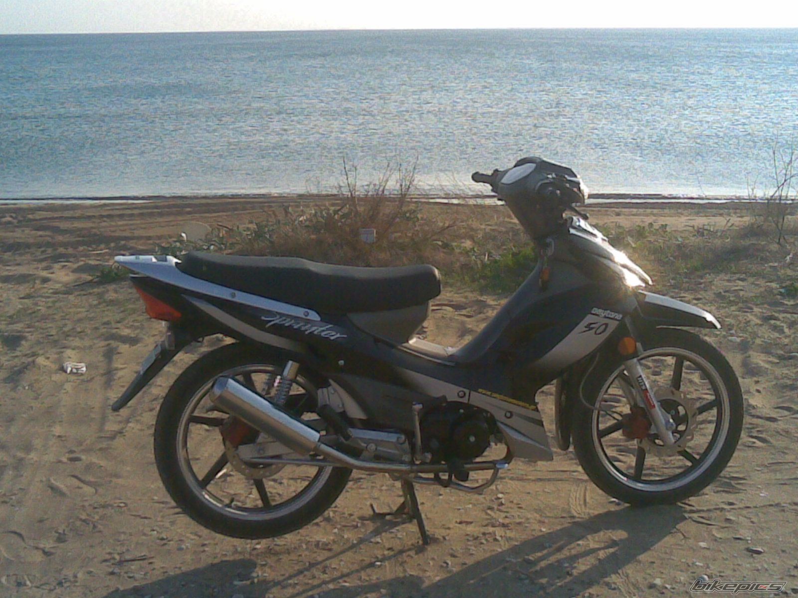 Photo 1447171