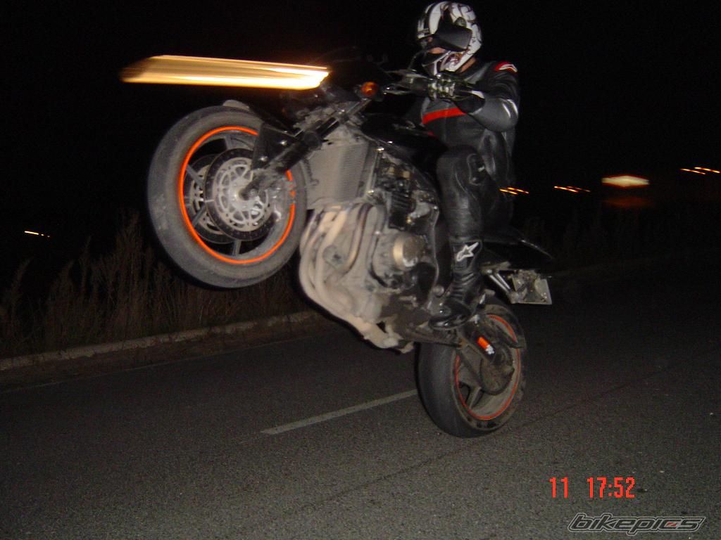 Photo 1447179