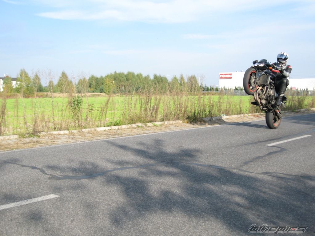 Photo 1447192