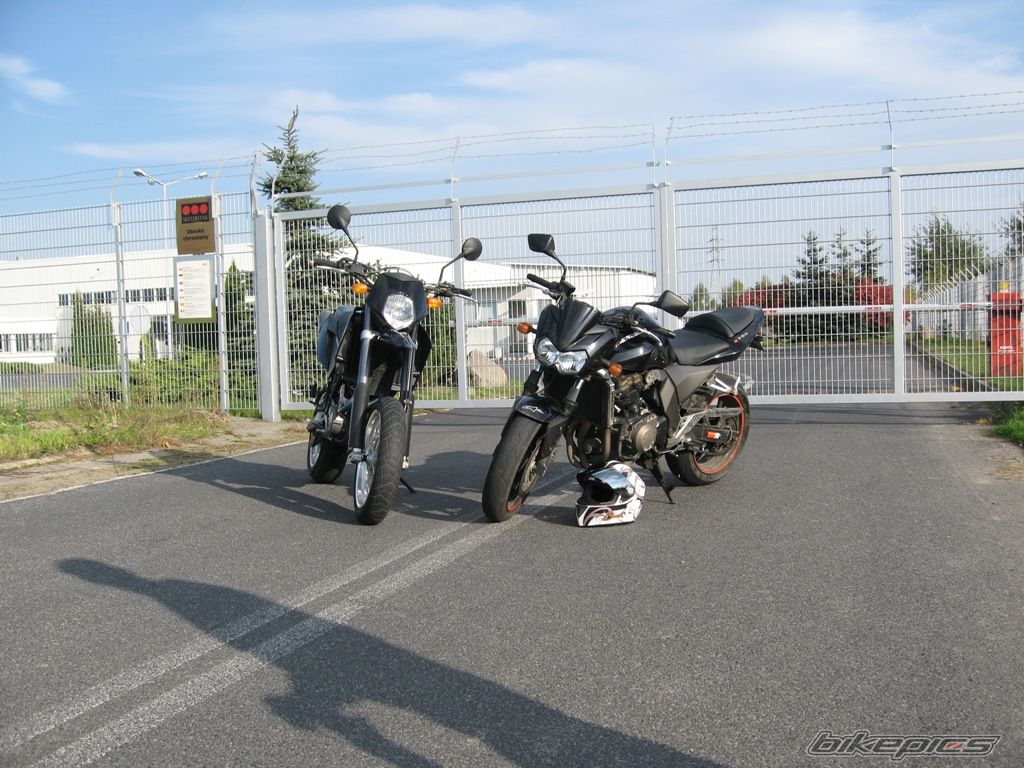 Photo 1447207