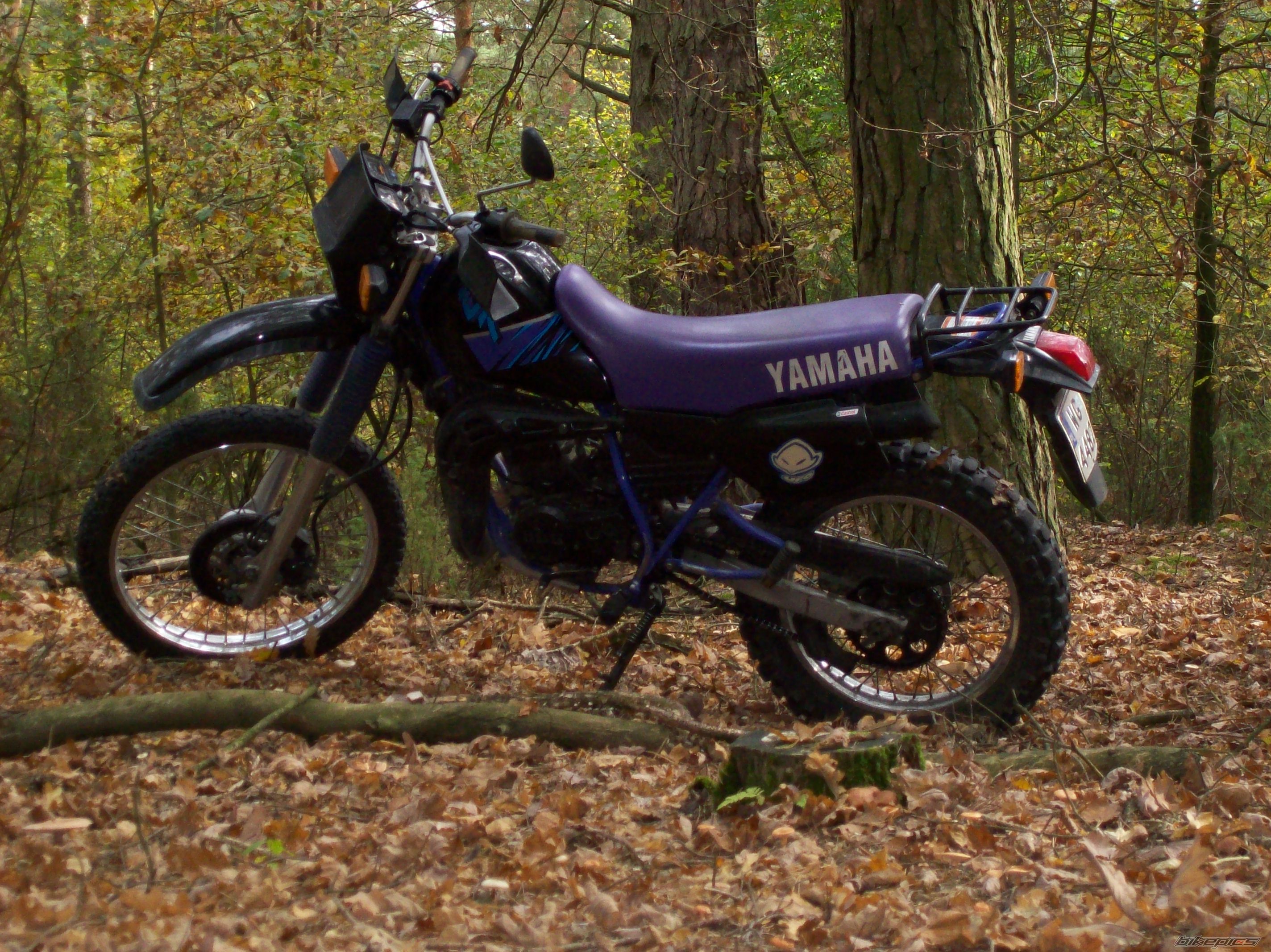 Photo 1447242