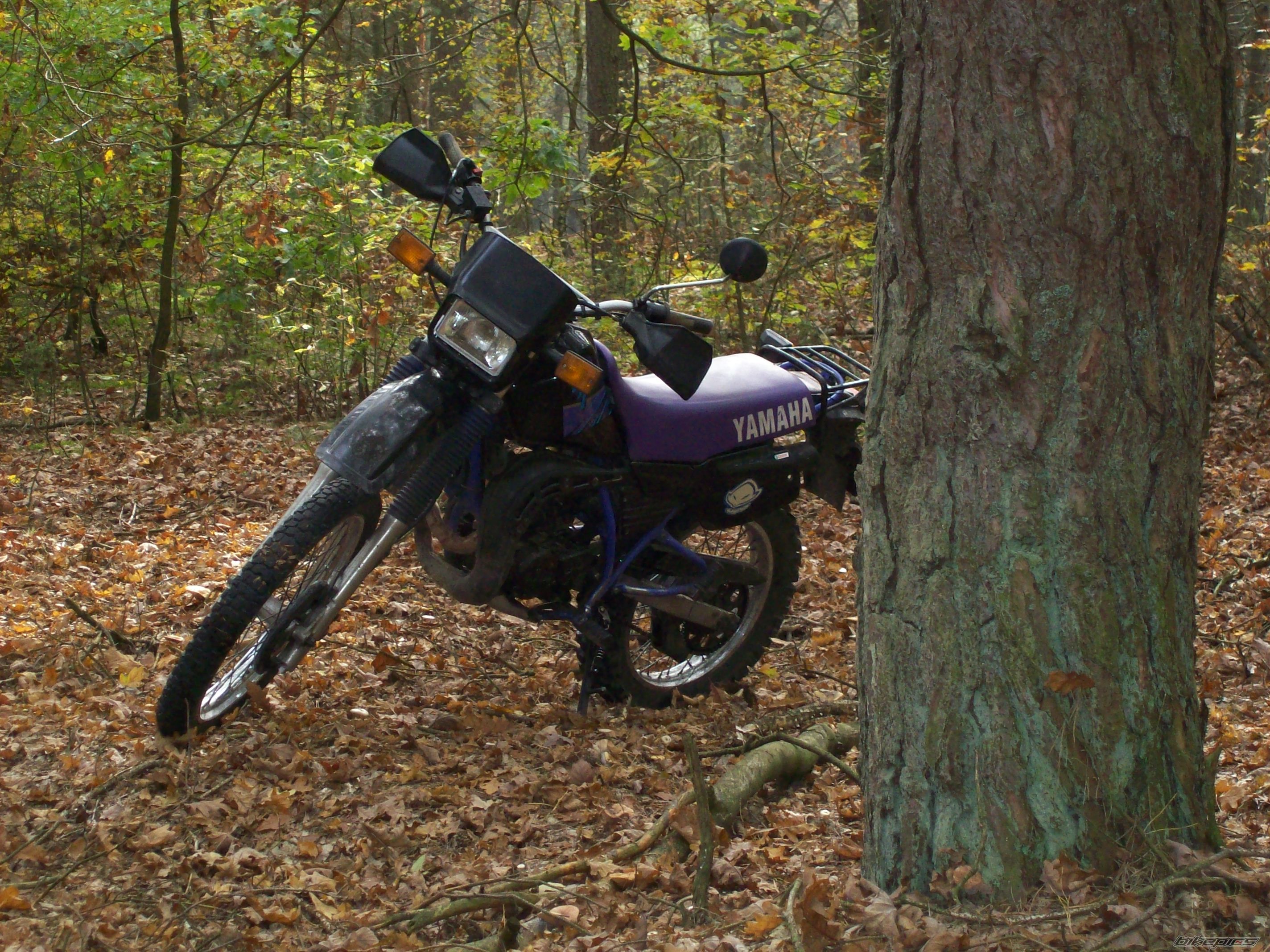 Photo 1447246
