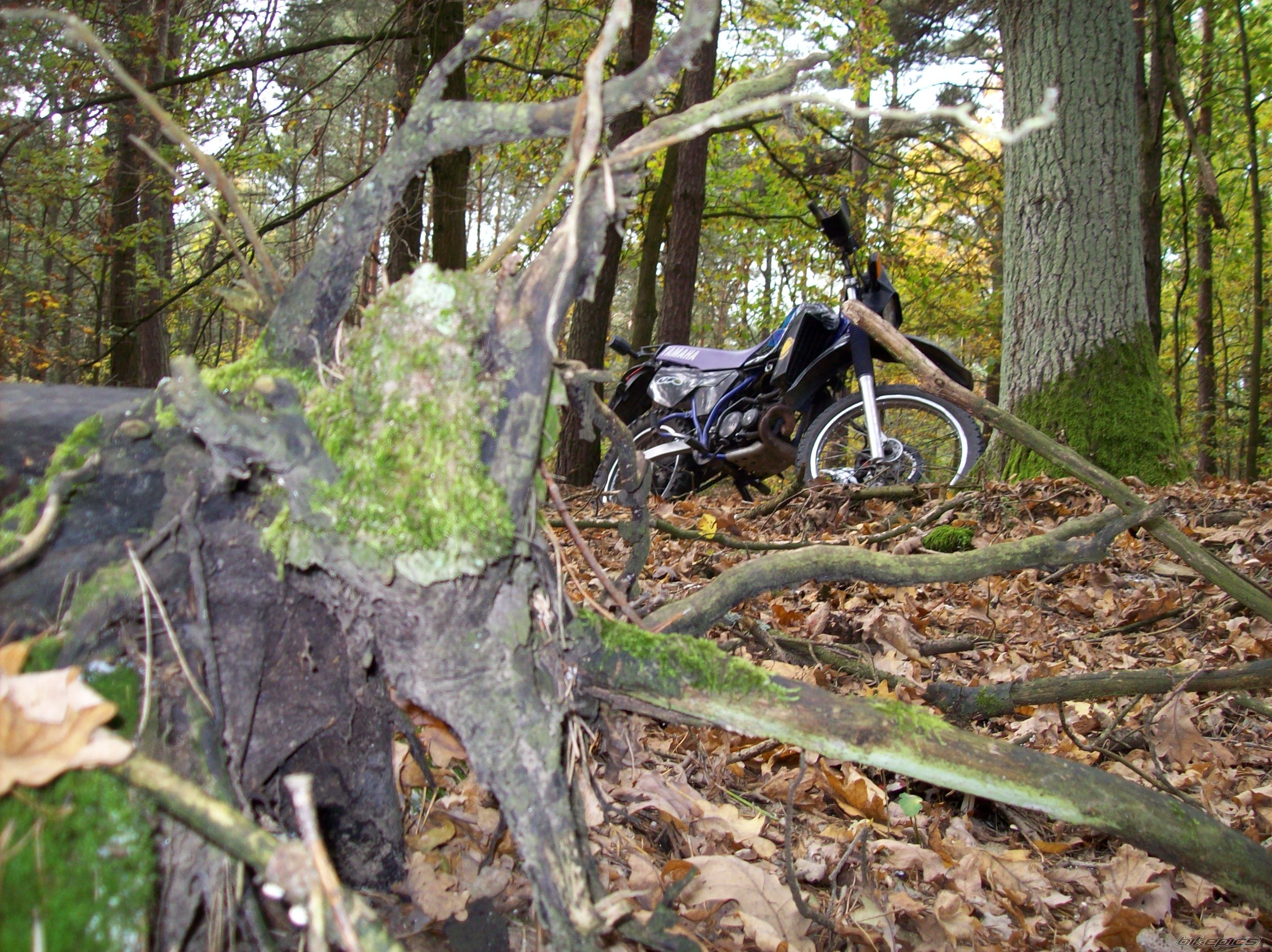 Photo 1447255