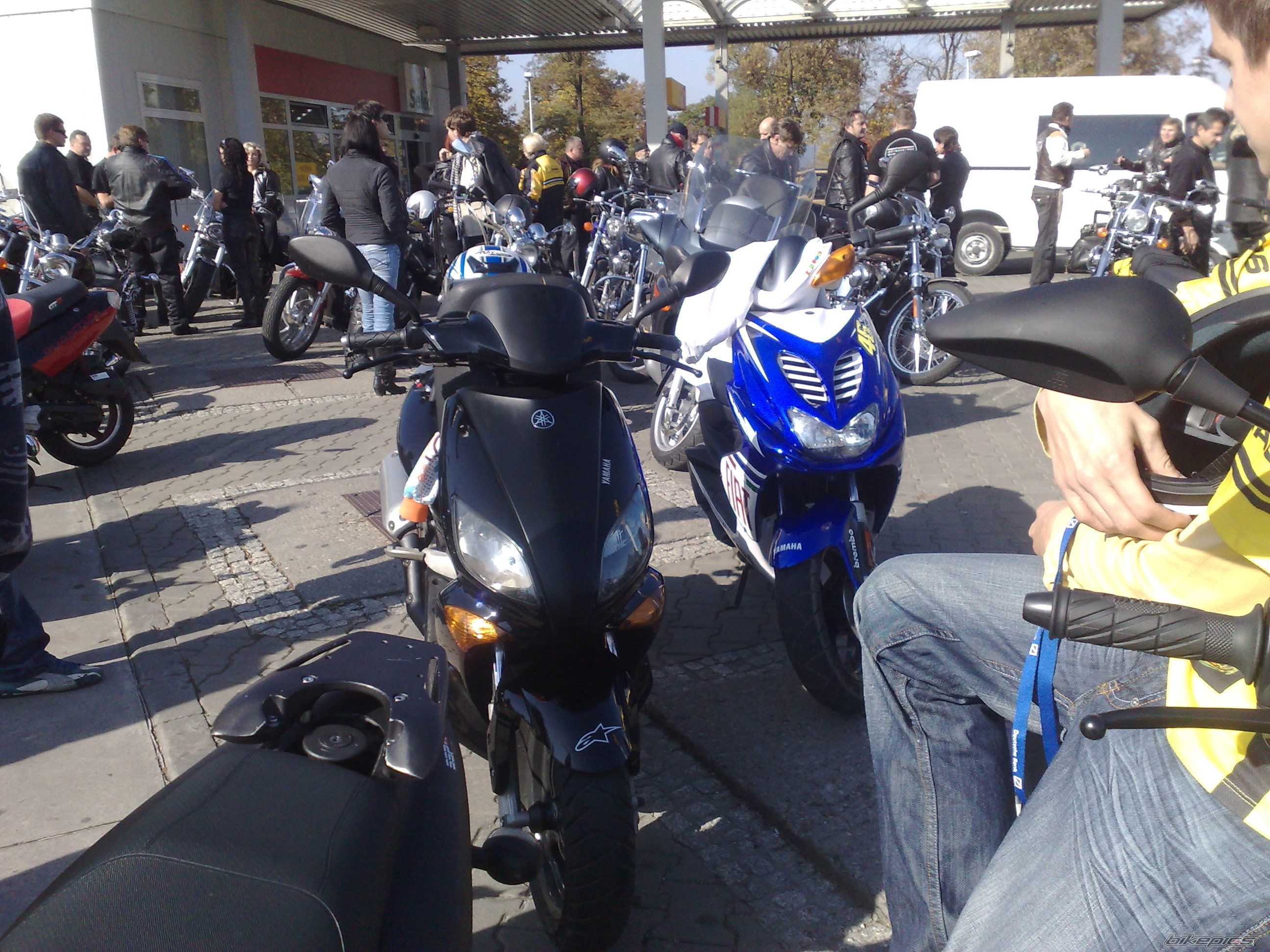 Photo 1447257