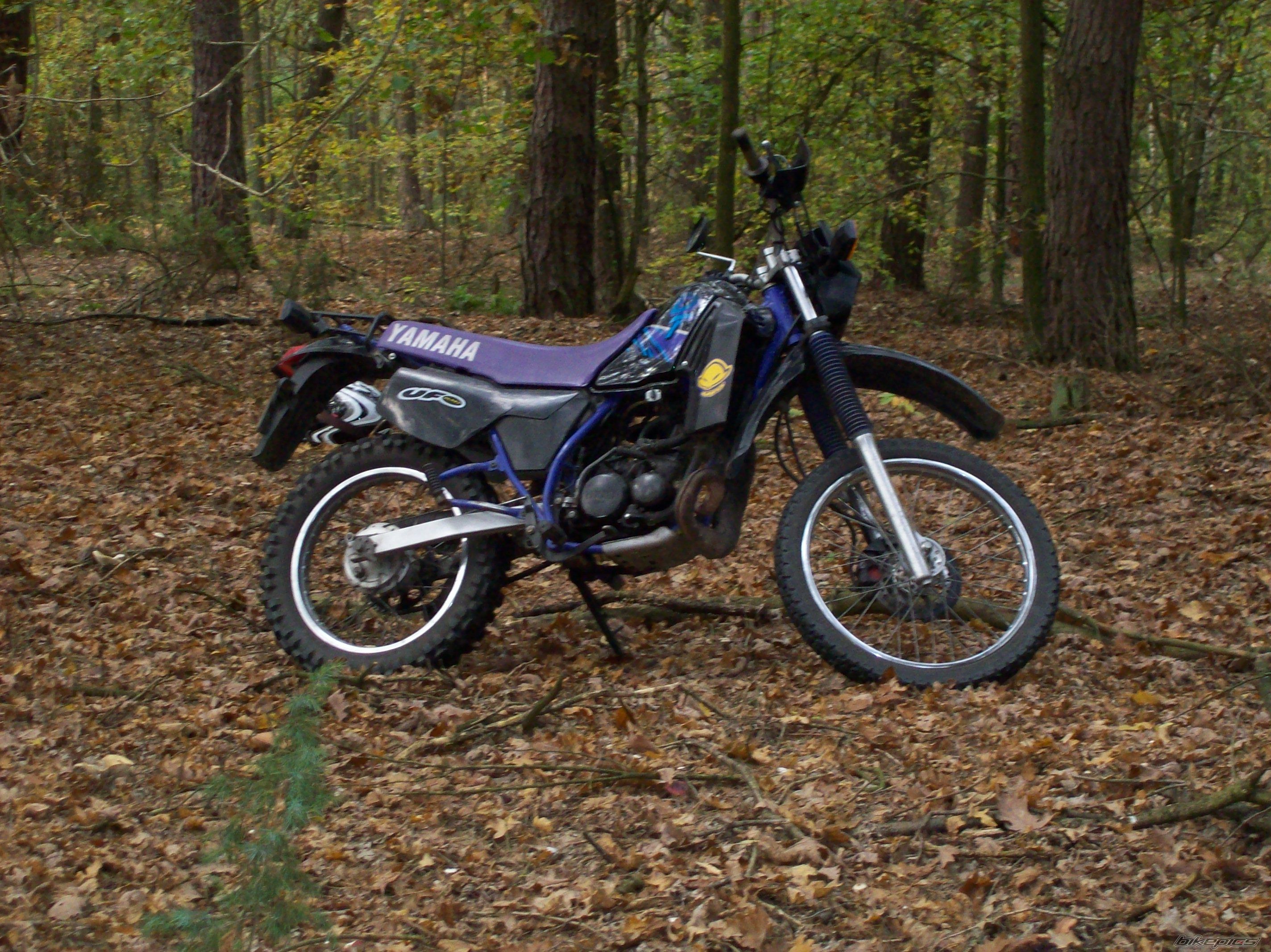 Photo 1447258