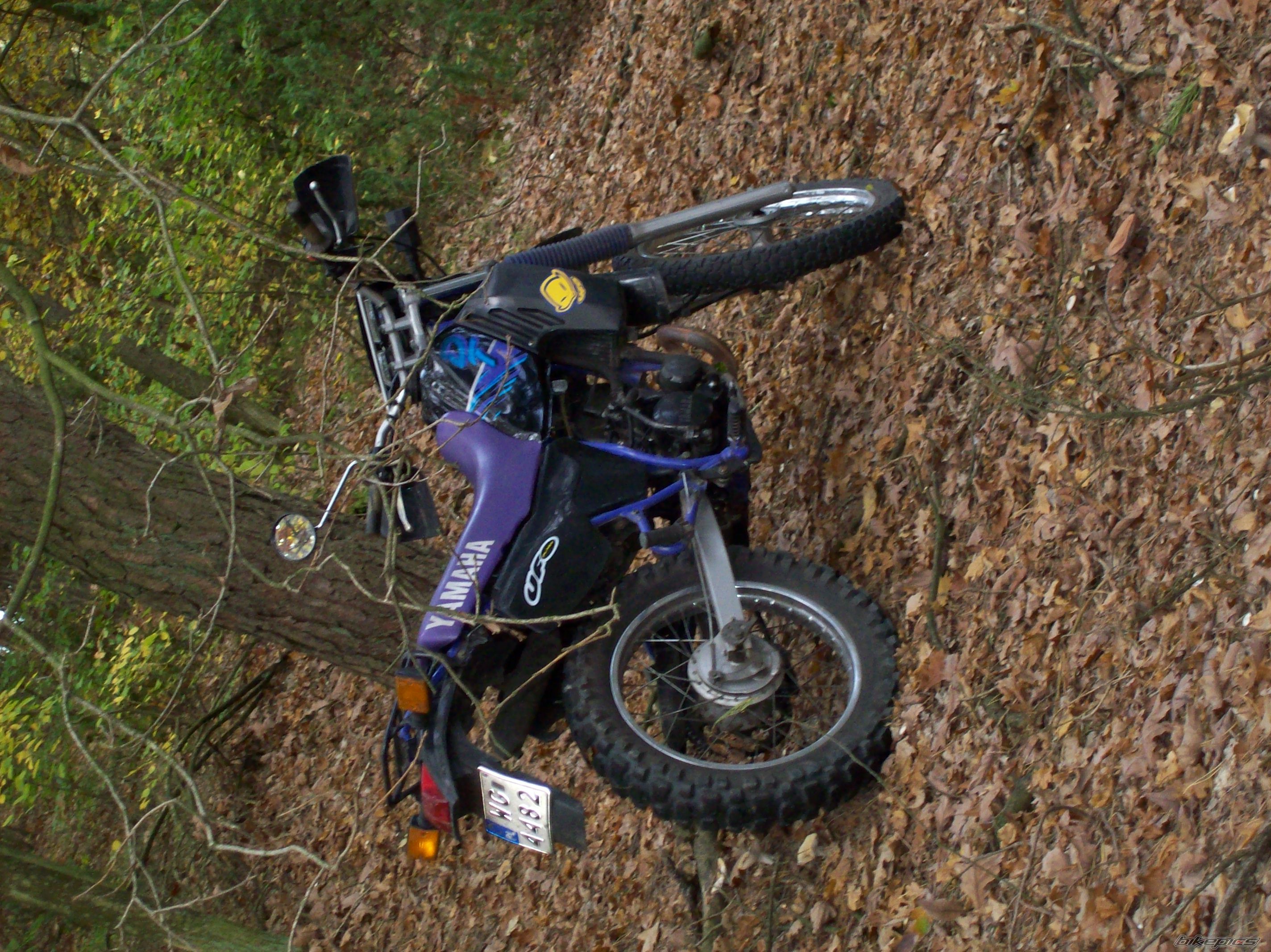 Photo 1447259
