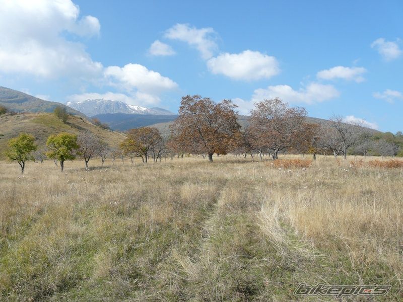 Photo 1447261