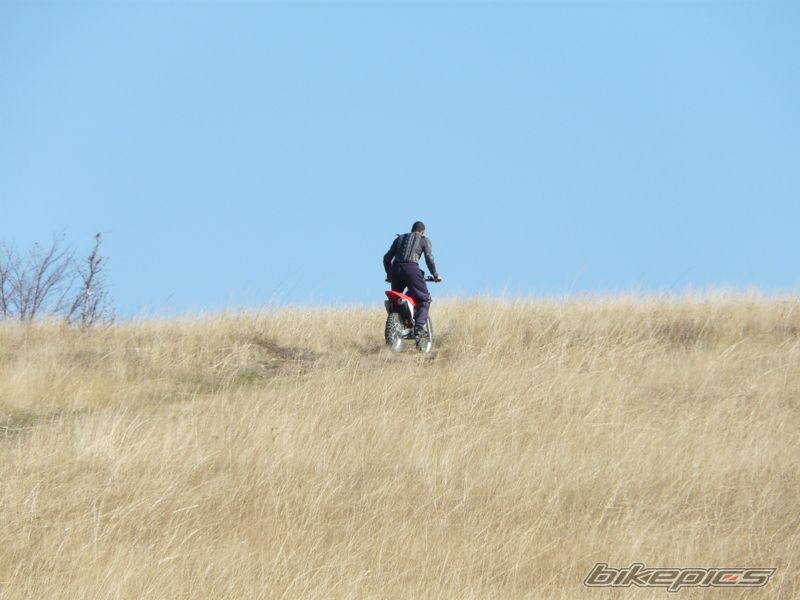 Photo 1447265