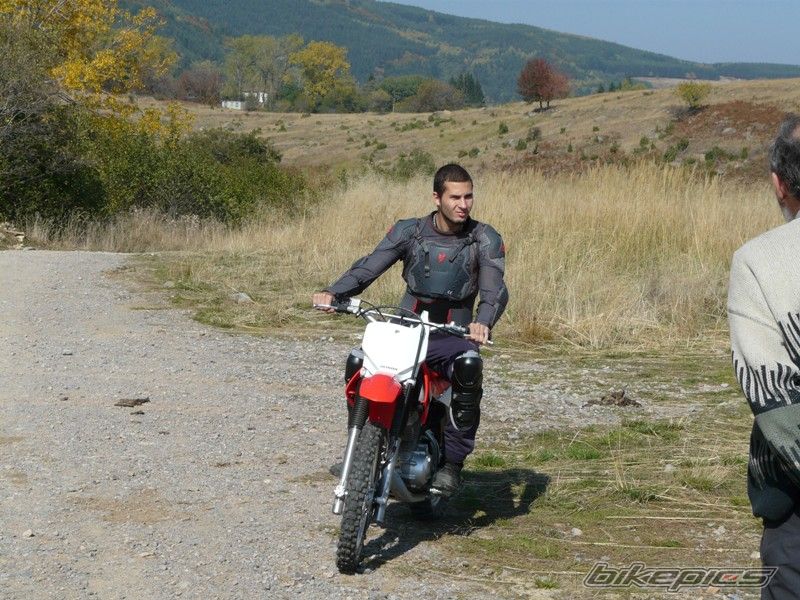 Photo 1447266