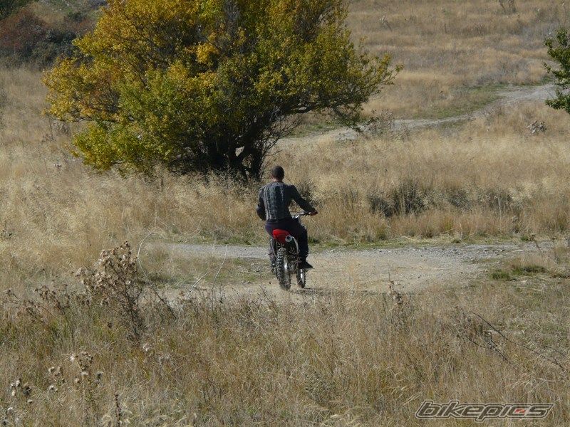 Photo 1447268