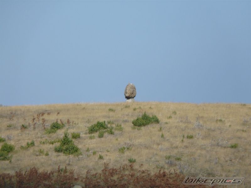 Photo 1447269