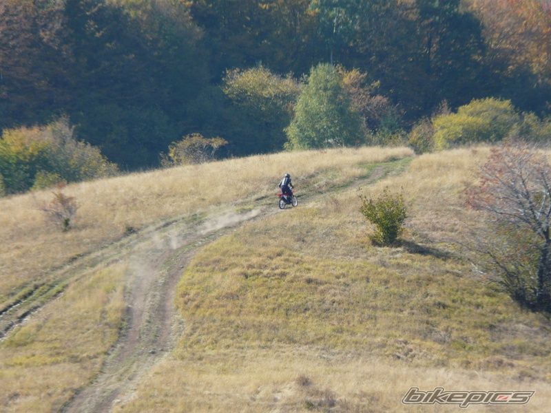 Photo 1447271