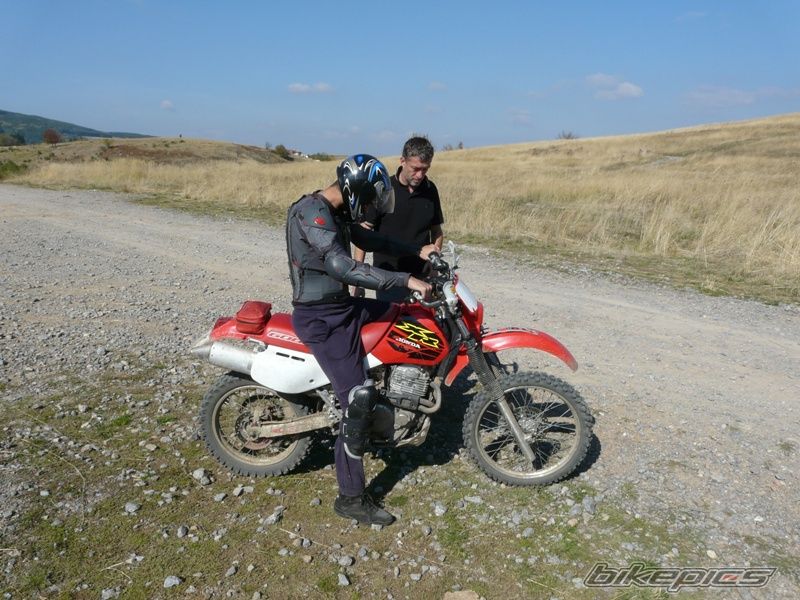 Photo 1447272