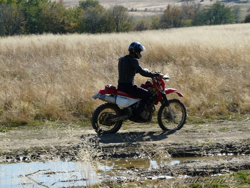 Photo 1447273