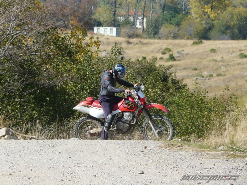 Photo 1447274