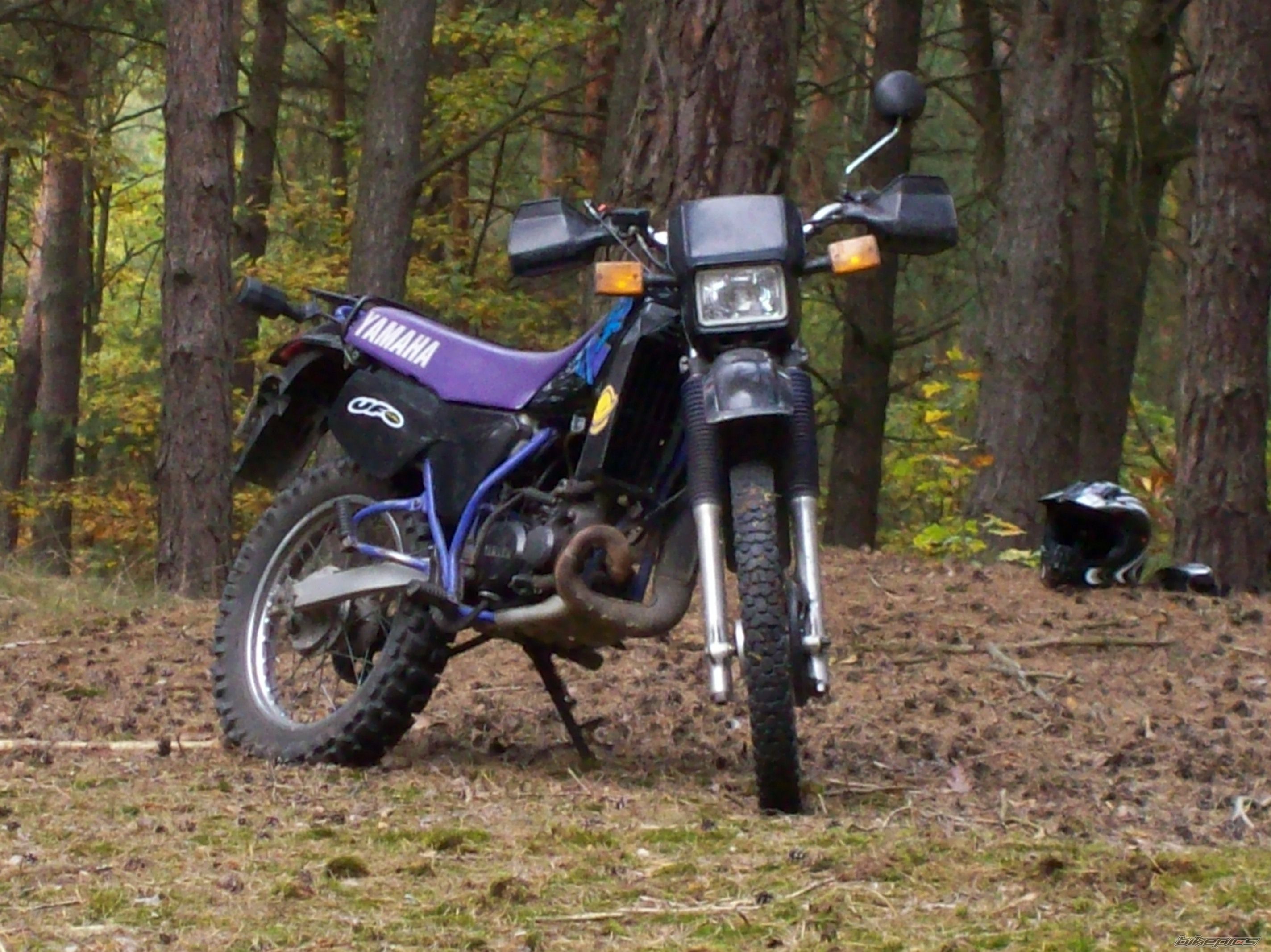 Photo 1447275