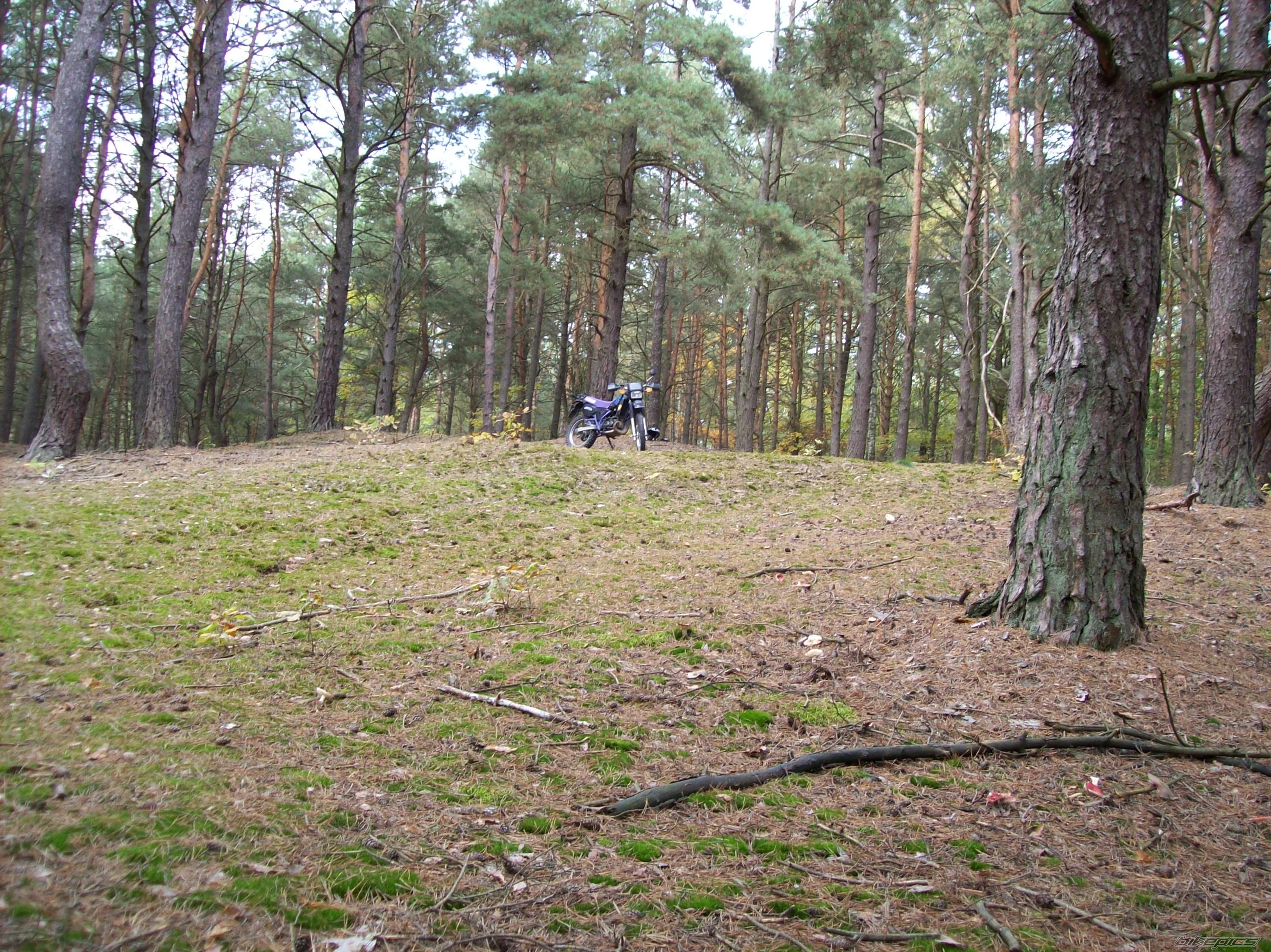 Photo 1447276