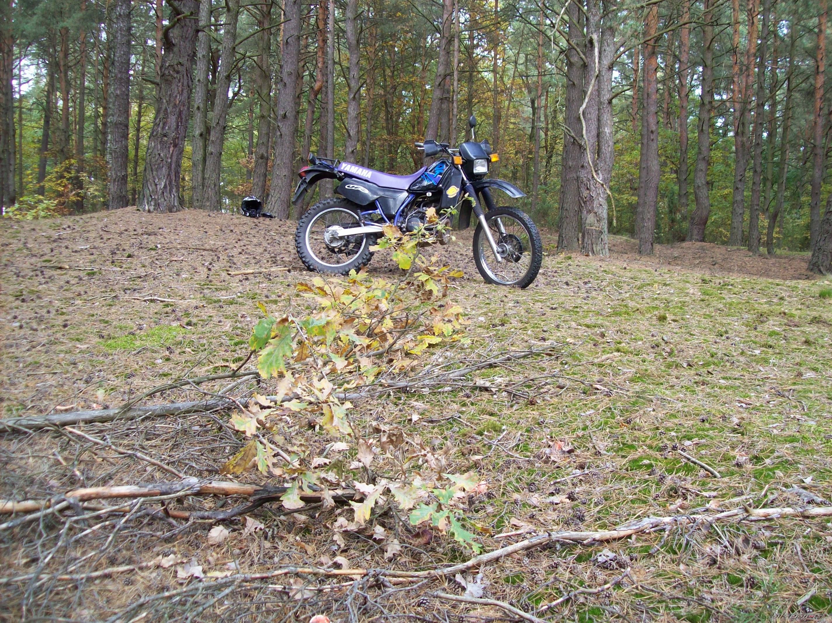 Photo 1447277