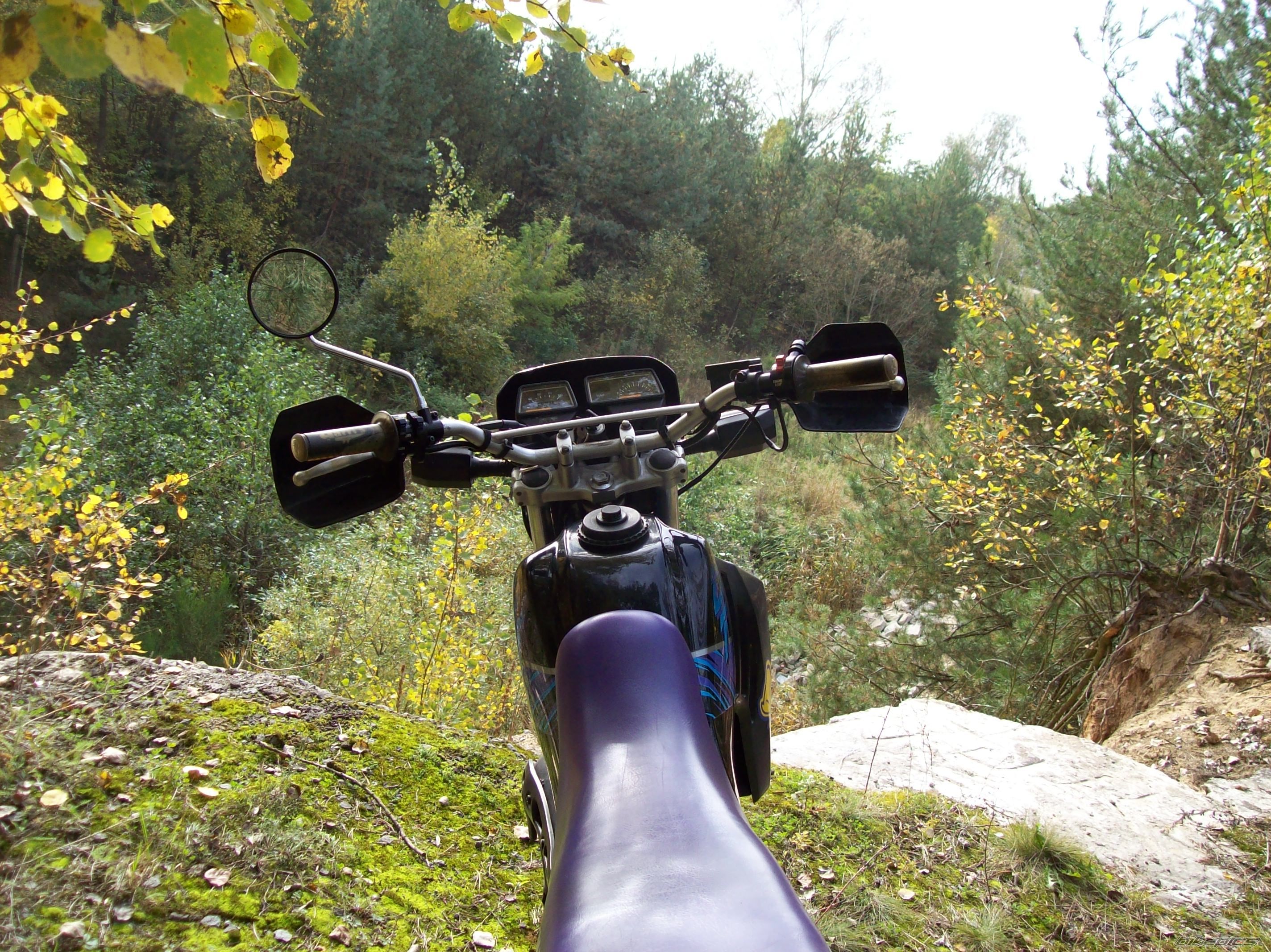 Photo 1447278