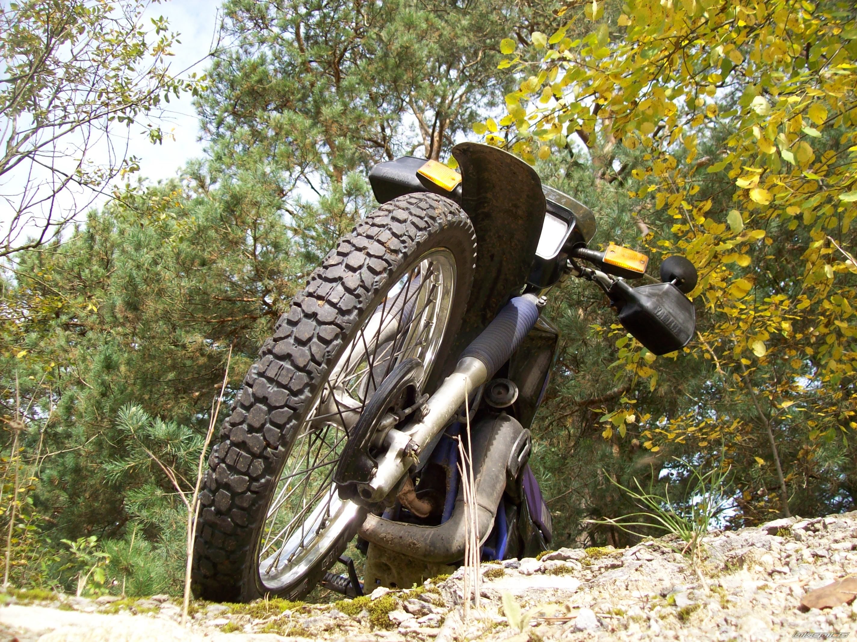 Photo 1447281