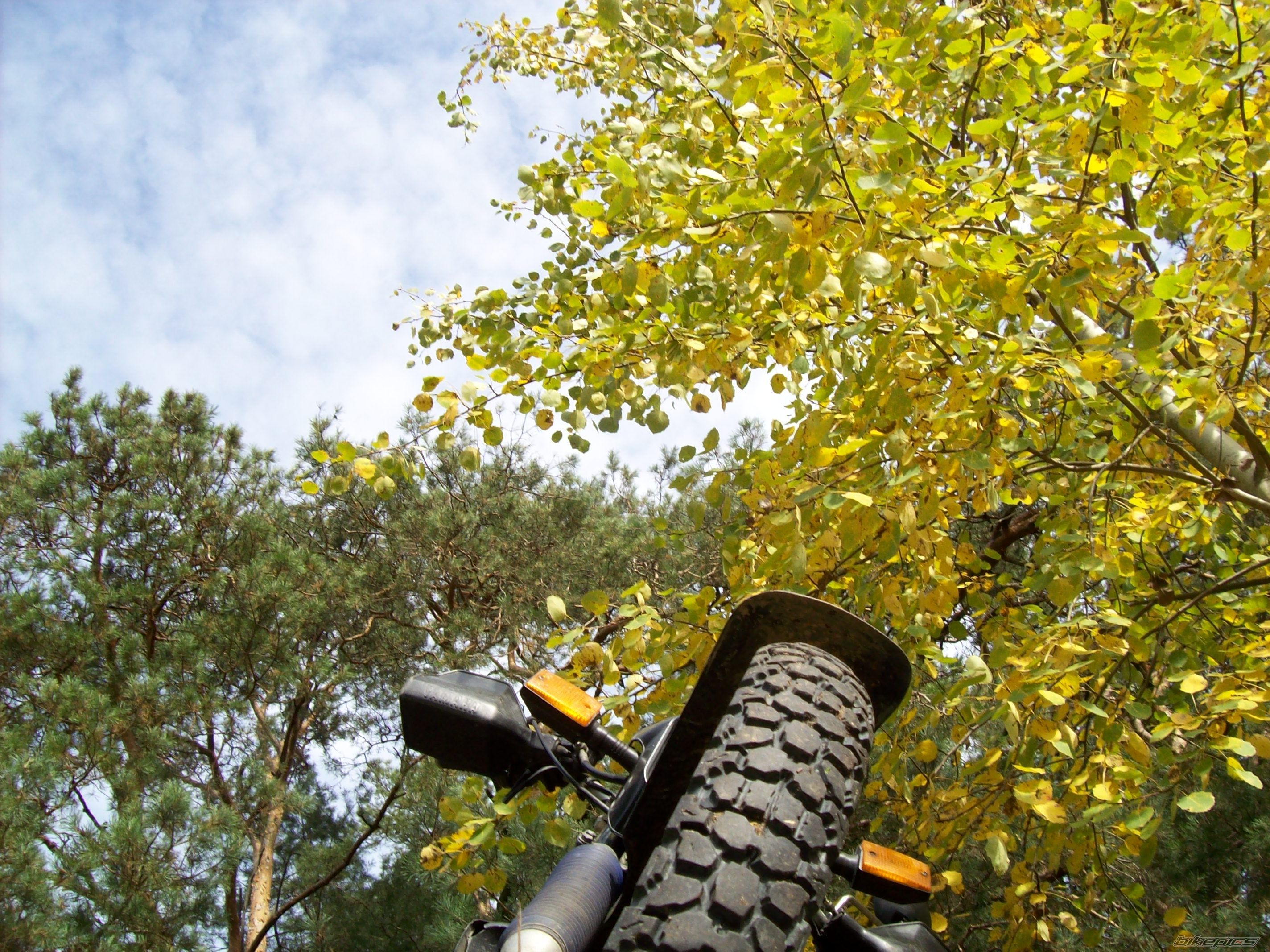 Photo 1447282