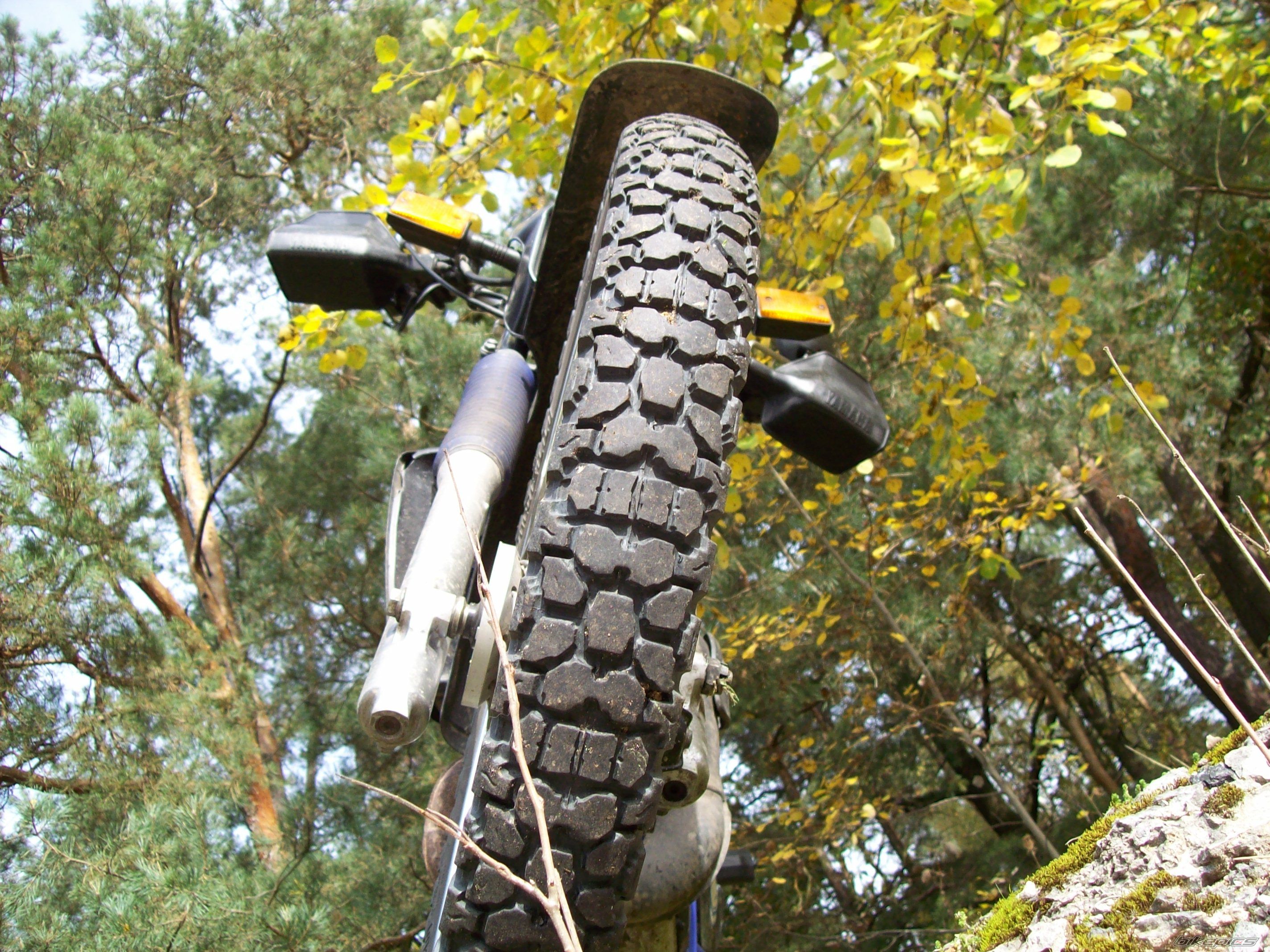 Photo 1447285