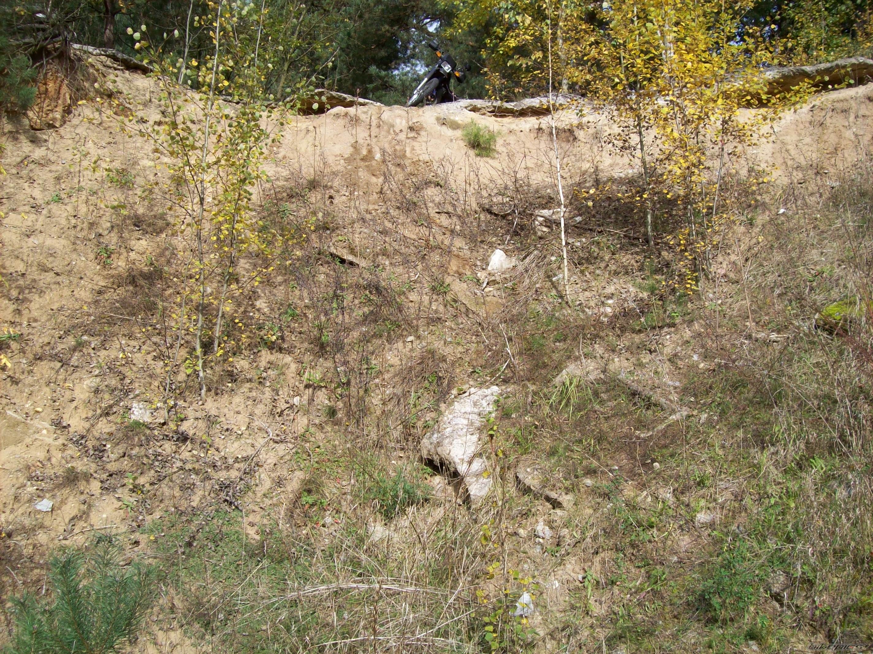 Photo 1447293