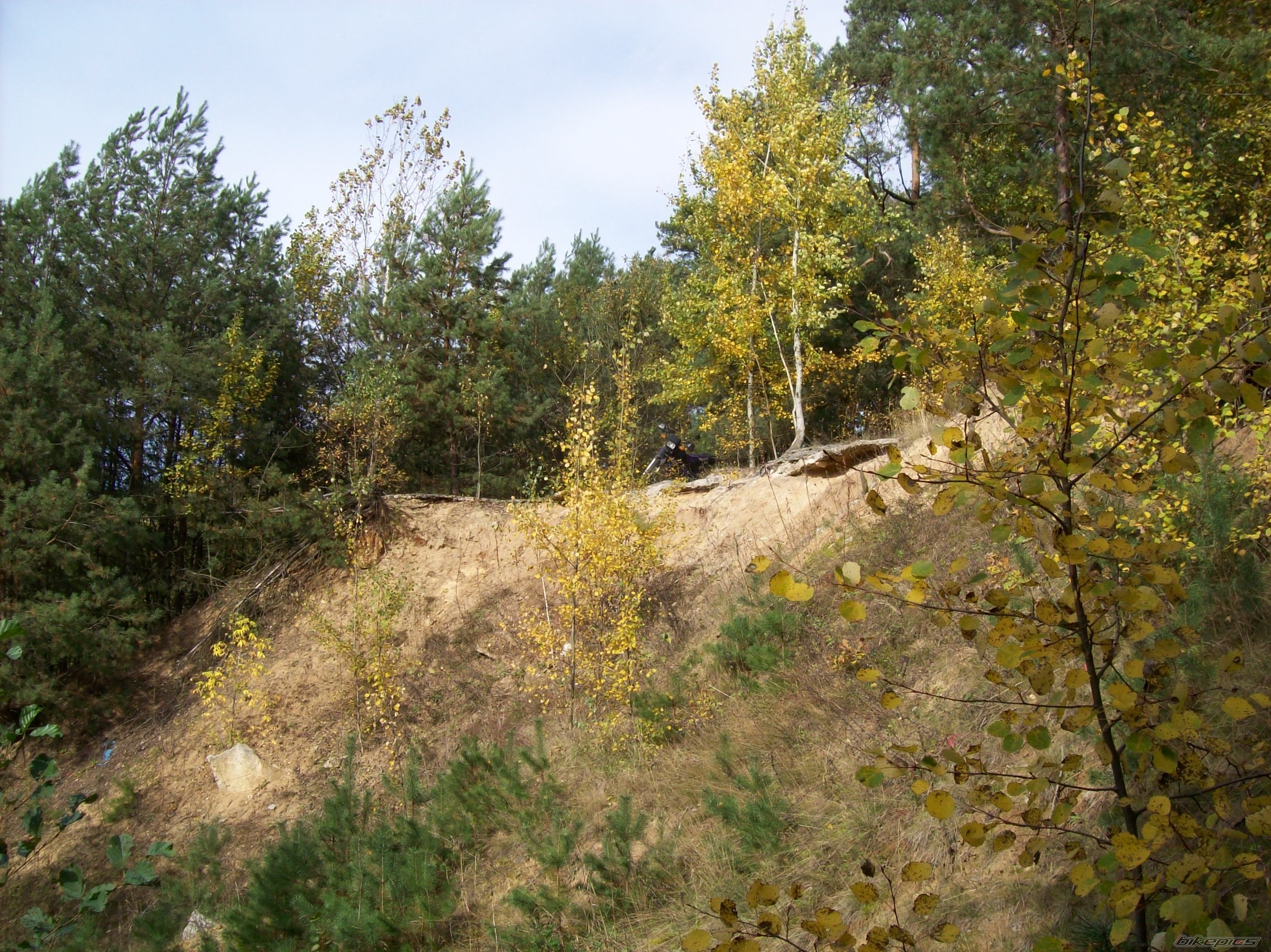 Photo 1447295