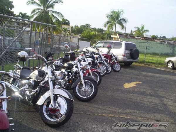 Photo 1447299