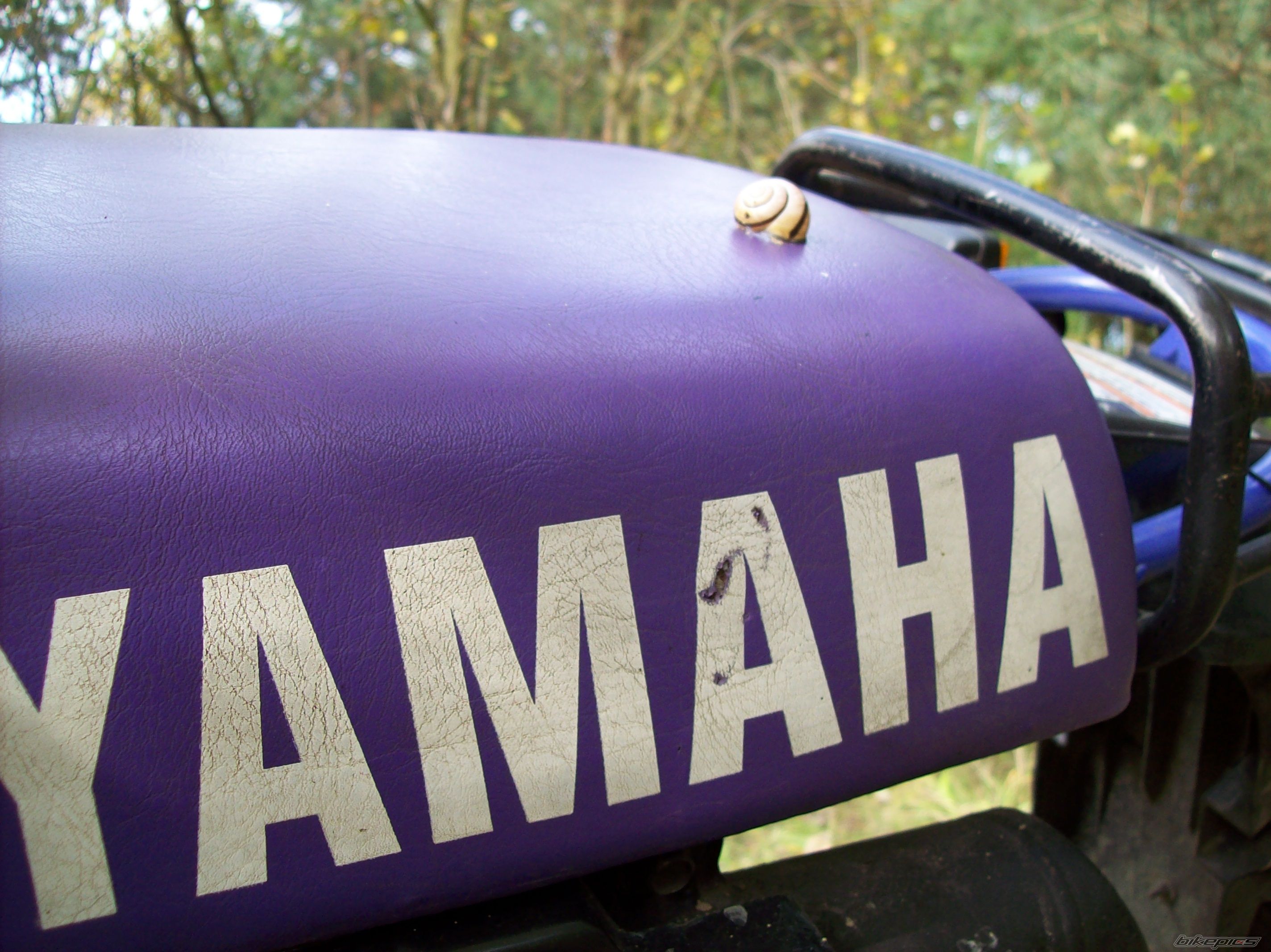 Photo 1447305